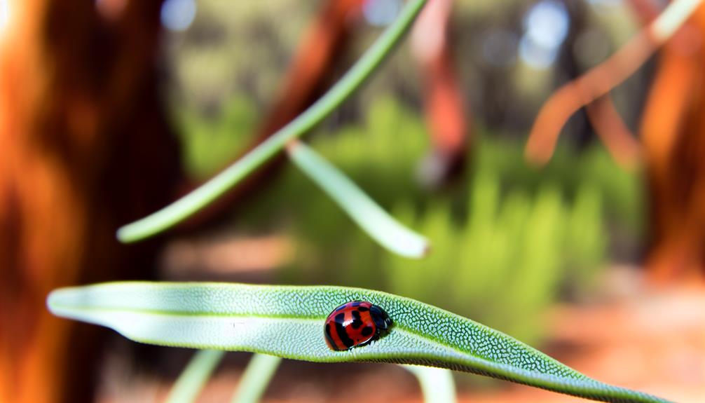 fascinating creepy crawlers